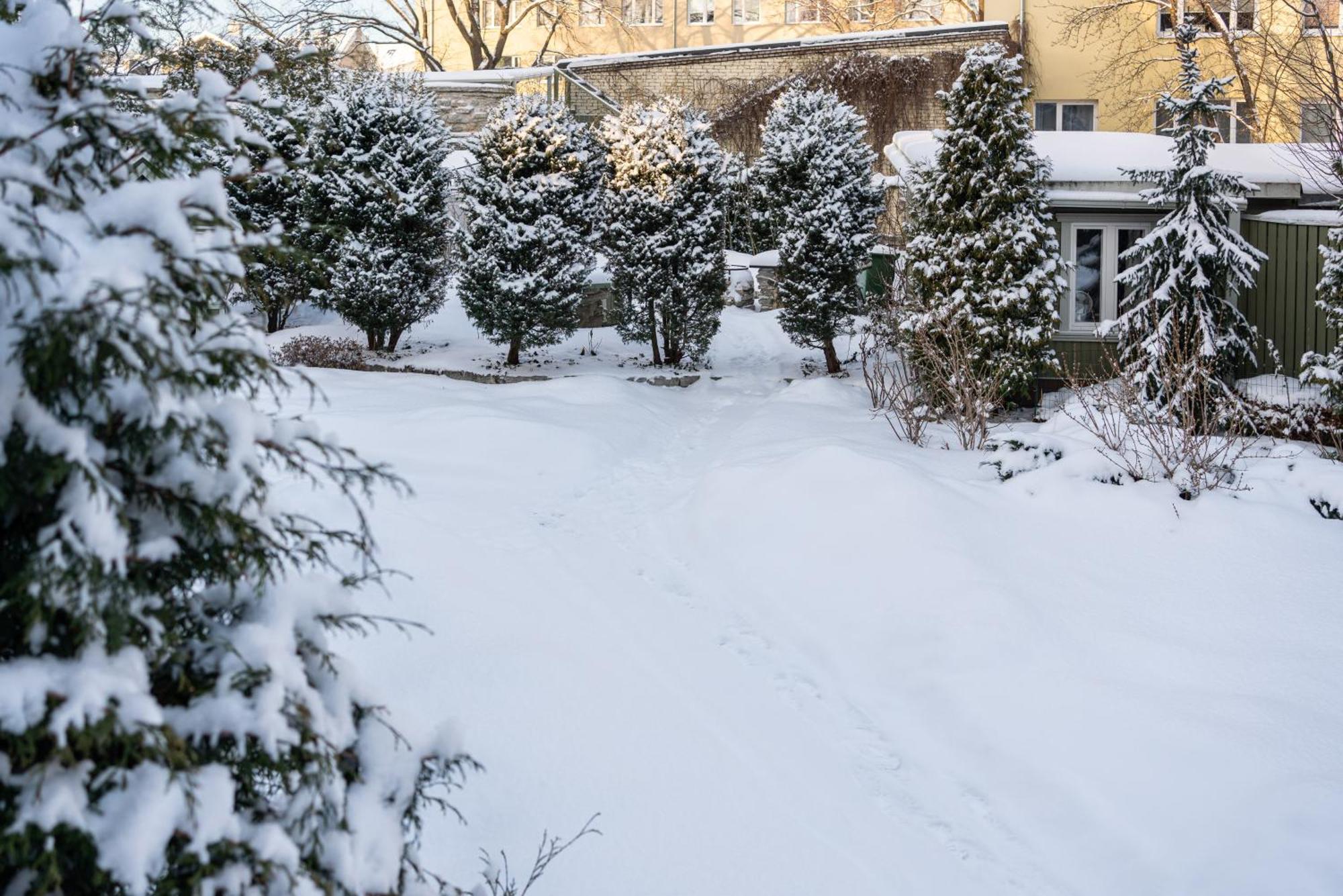 Videviku Villa Apartments Tallinn Luaran gambar